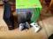 Xbox 360 Slim 250 Gb 2 Pady 3 Gry
