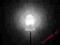 DIODA LED 5mm 20mA 3,0-3,4V BIAŁA WHITE kpl 10szt