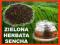 JAPOŃSKA HERBATA SENCHA JAPONIA TRADYCYJNA HERBATY