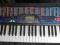 keyboard: CASIO CTK-495 plus stojak i nuty