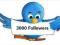 3000+500 Twitter Obserwujący