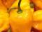 Świeża Papryka Chili - Yellow Habanero (500g)
