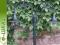 ogr9 Lampa ogrodowa stojąca 220 cm KUTA nowość