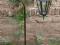 ogr1 Lampa ogrodowa stojąca KUTA 132 cm 3 KOLORY