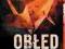 Obłęd (Audiobook)