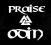 praise odin valknut wikingowie viking tshirt bluzy