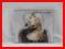 MADONNA - POWER OF GOOD-BAY [MAXI CD]