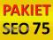PAKIET SEO 75: POZYCJONOWANIE, KATALOGI, BLOGI PR6