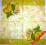 Serwetki do decoupage-2szt.-OWOCE- NR 6