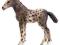 SCHLEICH Kuc Knabstrupper