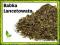 Babka lancetowata krojona liść suszona 50g