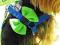 COOCKY . SZELKI KOKARDA -PRODUCENT- PROMOCJA ! R.S
