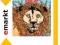 [EMARKT] I-ROY - HEART OF A LION (CD)