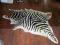 SKÓRA  Z  AFRYKAŃSKIEJ ZEBRY
