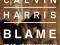 Calvin Harris - Blame John Newman CD Summer