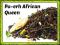 Herbata Puerh AFRICAN QUEEN czerwona liściasta 50g