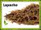 La pacho Lapacho nowotowry cudowny napar 1000g