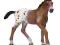 Źrebię rasy Appaloosa new 2013 SCHLEICH [PROMOCJ