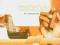 V/A CHILL OUT IN HAVANA - Ambient Grooves Folia
