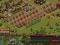 Konto Forge Of Empires - East-Nagach