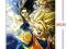 Dragon Ball Plakat Baner na płótnie 60x90