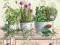 SERWETKI DECOUPAGE WŁOSKIE ogród 20szt