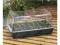 MINI SZKLARENKA PROPAGATOR UKORZENIACZ 37x22x18.5