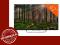 Telewizor 42'' Sony KDL-42W805B LED 200Hz 3D SMART