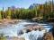 PUZZLE CASTOR 1500 EL. JASPER NAT.PARK, CANADA