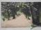 Pocztówka BIAŁOWIEŻA Fragment parku pałacowego