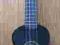Ukulele + pokrowiec, zapasowe struny, kapodaster