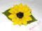 Broszka filcowa, słonecznik, pomysł na prezent
