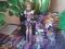 Monster High CLAWDEEN WOLF 1 seria JAK NOWA