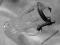 STARY Kufel cyna XIX - XX APOLLO VIP WARSZ RARYTAS