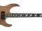 Caparison Dellinger II WM EF Natural