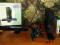 XBOX 360 SLIM 250GB 2 PADY KINECT GRY GWARANCJA