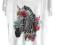 H&amp;M Nowy T-shirt motyw zebry 158/164 12-14Y