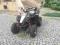 POLARIS SCRAMBLER 500 4x4 2007r.