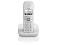 Telefon bezprzewodowy, Gigaset E310
