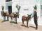 pocztówka OSŁY Parada de Burros Taxi HISZPANIA