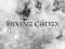 DIVINE CODEX Ante matter black metal lat 90tych