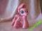 kucyk pony  my little pony konik