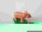 LEGO DUPLO świnka