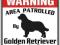 TABLICZKA UWAGA PIES - Golden Retriever - WARNING