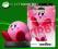 FIGURKA POSTAĆ AMIIBO KIRBY NINTENDO WII U 3DS 2DS