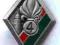 Legia Cudzoziemska 4 R.E odznaka pułkowa