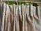 Gruba  zasłona/kotara angiel.śliczna wys. 210 cm