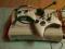 Xbox 360 20 GB +2 pady+headset + kabel VGA +7 GIER
