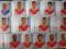 WIDZEW ŁÓDŹ Naklejki  EKSTRAKLASA 2014  180 szt.