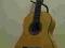 gitara flamenco Camps